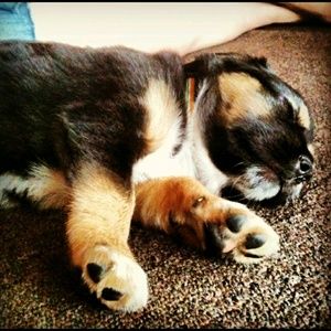 Meet your Posher, Darin